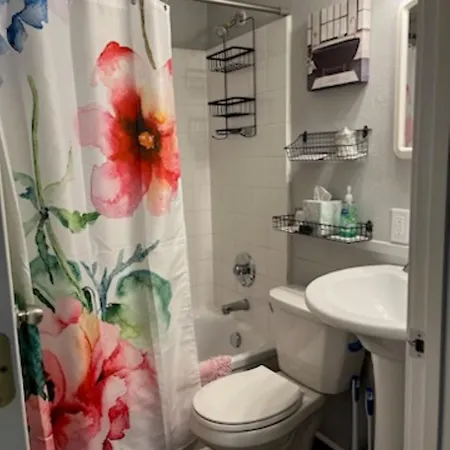 Anoka Apartments In Historical Victorian House Extérieur photo